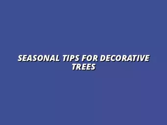 seasonal planting tips for decorative trees