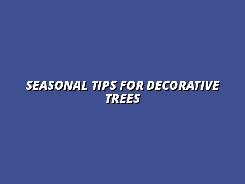 seasonal planting tips for decorative trees